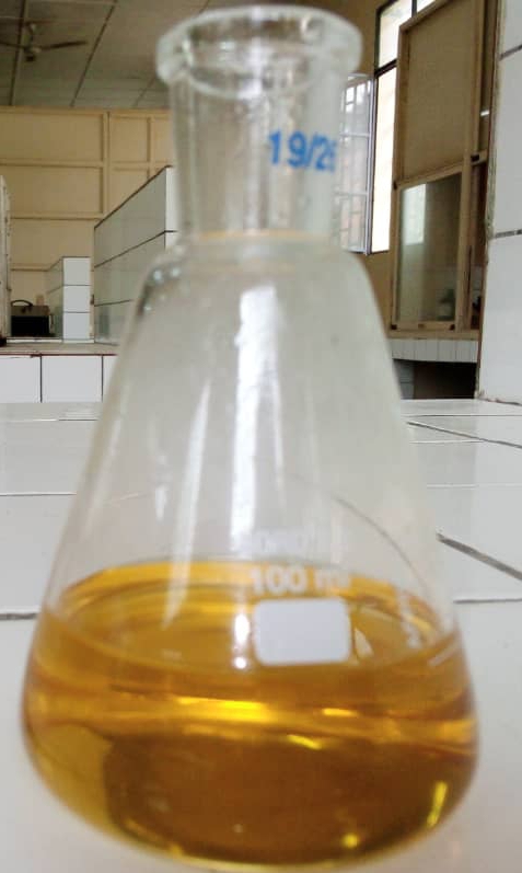 Université de Kisangani : Un étudiant produit le carburant biodiesel à partir d’huile de ricin (Mbalika)
