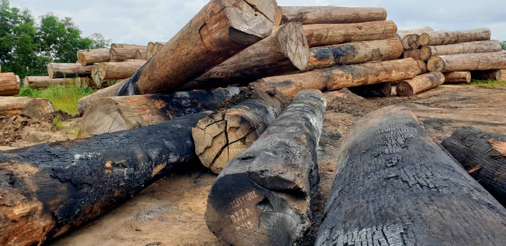 Kisangani : incendie criminel de parc à bois à la CFT, les dessous de carte.